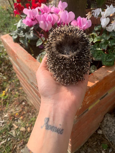 Small Tattoo Ideas